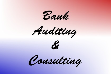 Bank Auditing & Consulting Image