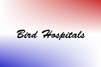 Bird Hospitals Image