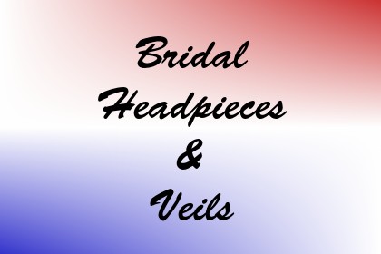 Bridal Headpieces & Veils Image