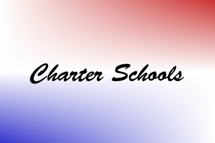 Charter Schools Image