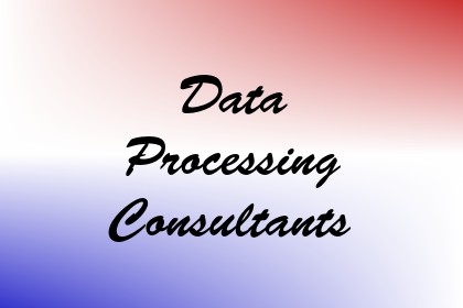 Data Processing Consultants Image