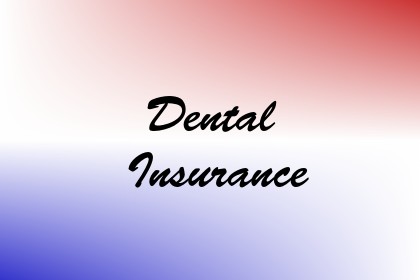 Dental Insurance Image