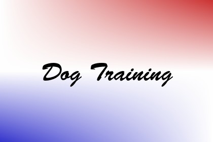 Dog Training Image