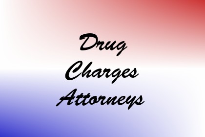 Drug Charges Attorneys Image