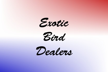 Exotic Bird Dealers Image