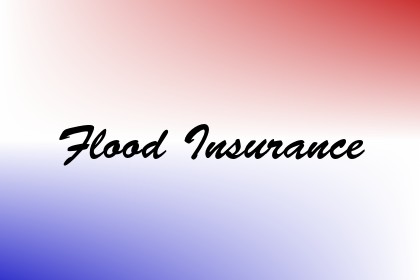 Flood Insurance Image