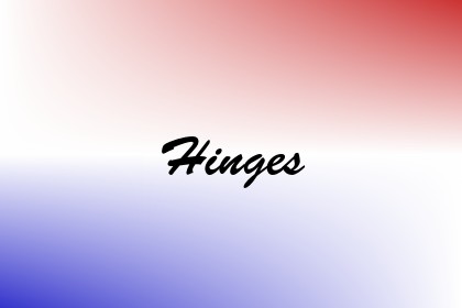 Hinges Image