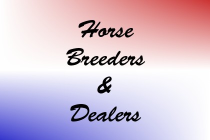 Horse Breeders & Dealers Image