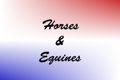 Horses & Equines Image