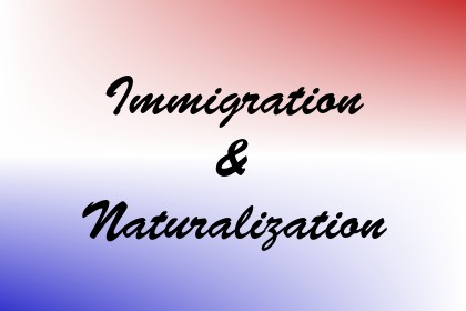 Immigration & Naturalization Image