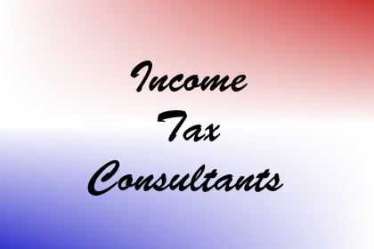 Income Tax Consultants Image