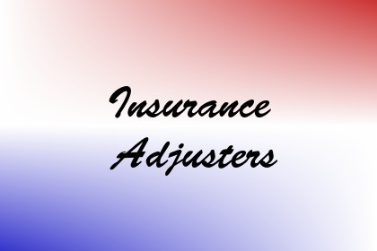 Insurance Adjusters Image