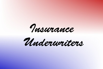 Insurance Underwriters Image