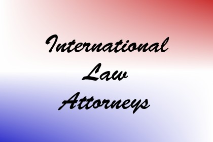 International Law Attorneys Image