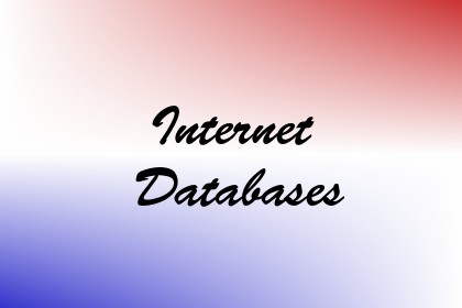Internet Databases Image