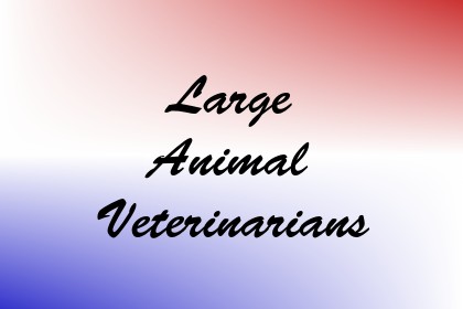 Large Animal Veterinarians Image