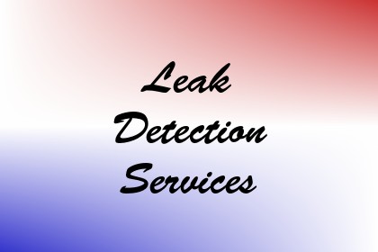 Leak Detection Services Image