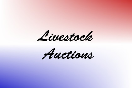 Livestock Auctions Image