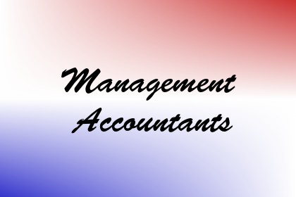 Management Accountants Image