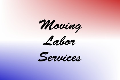 Moving Labor Services Image