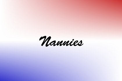 Nannies Image