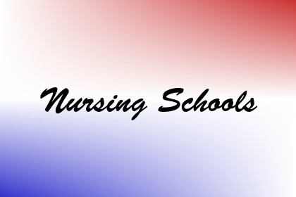 Nursing Schools Image