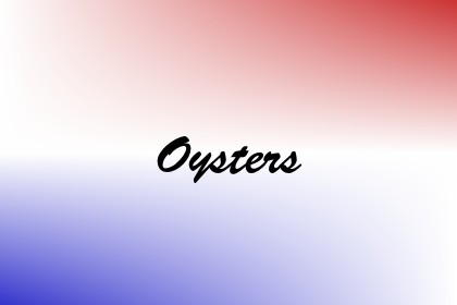 Oysters Image