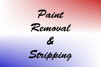 Paint Removal & Stripping Image