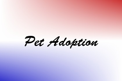 Pet Adoption Image