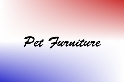 Pet Furniture Image