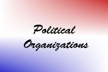 Political Organizations Image