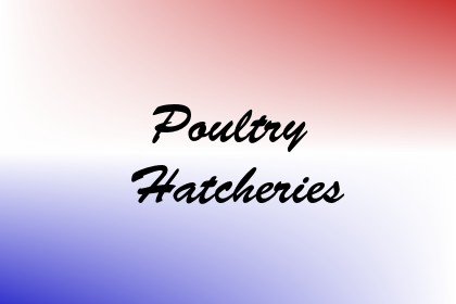 Poultry Hatcheries Image