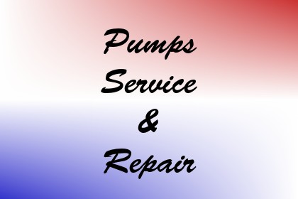 Pumps Service & Repair Image