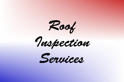 Roof Inspection Services Image