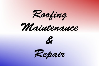 Roofing Maintenance & Repair Image