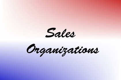Sales Organizations Image