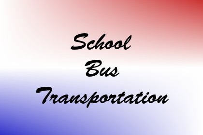 School Bus Transportation Image