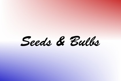 Seeds & Bulbs Image