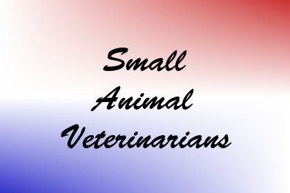 Small Animal Veterinarians Image