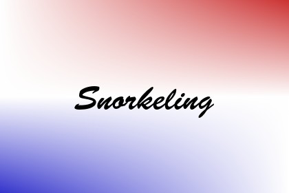 Snorkeling Image