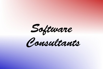 Software Consultants Image