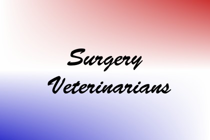 Surgery Veterinarians Image