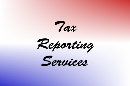 Tax Reporting Services Image