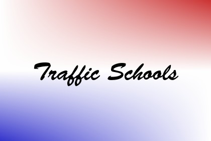 Traffic Schools Image