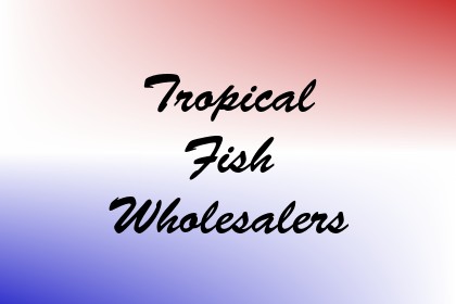 Tropical Fish Wholesalers Image