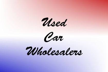 Used Car Wholesalers Image