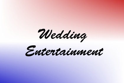 Wedding Entertainment Image