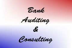 Bank Auditing & Consulting