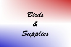 Birds & Supplies