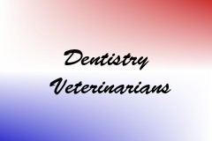 Dentistry Veterinarians